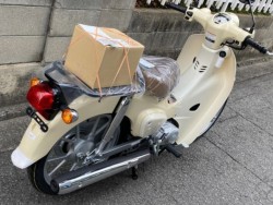 �z���_Super Cub 110 Lite�i���Q�����R�s�j�摜11