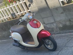 �z���_�W�����m�i���Q�����R�s�j�摜3