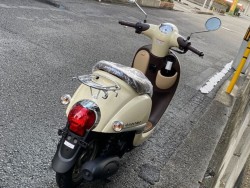 �z���_�W�����m�i���Q�����R�s�j�摜21