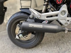 �z���_�O�����i���Q�����R�s�j�摜9