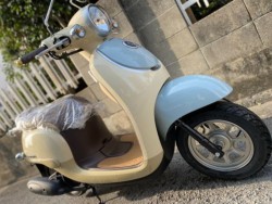 �z���_�W�����m�i���Q�����R�s�j�摜11