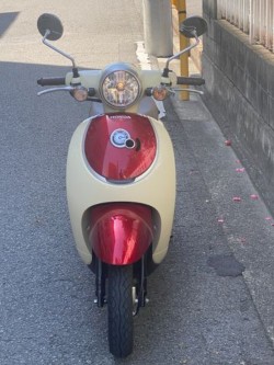 �z���_�W�����m�i���Q�����R�s�j�摜4