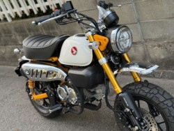 �z���_�����L�[125�i���Q�����R�s�j�摜12