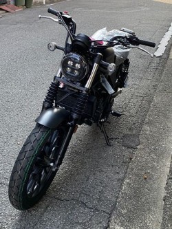 �z���_CL250�i���Q�����R�s�j�摜5