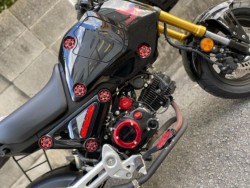 �z���_�O�����i���Q�����R�s�j�摜10