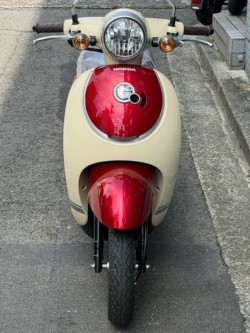 �z���_�W�����m�i���Q�����R�s�j�摜5