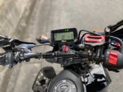 �z���_�O�����i���Q�����R�s�j�摜11