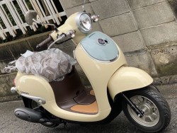 �z���_�W�����m�i���Q�����R�s�j�摜3