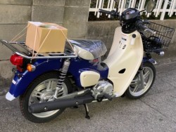 �z���_Super Cub 110 PRO Lite�i���Q�����R�s�j�摜12