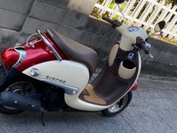 �z���_�W�����m�i���Q�����R�s�j�摜8