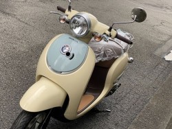 �z���_�W�����m�i���Q�����R�s�j�摜5