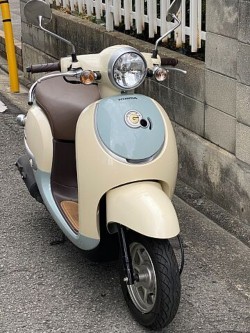 �z���_�W�����m�i���Q�����R�s�j�摜3