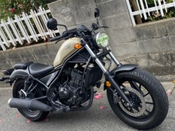 �z���_���u��250�i���Q�����R�s�j�摜4