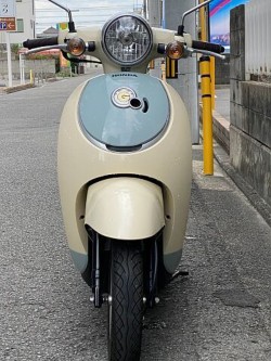 �z���_�W�����m�i���Q�����R�s�j�摜4