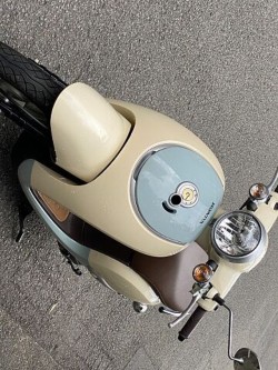 �z���_�W�����m�i���Q�����R�s�j�摜5