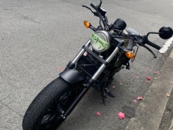 �z���_���u��250�i���Q�����R�s�j�摜6