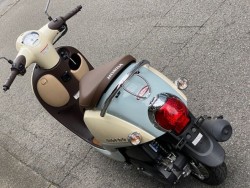 �z���_�W�����m�i���Q�����R�s�j�摜6