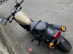 �z���_���u��250�i���Q�����R�s�j�摜7