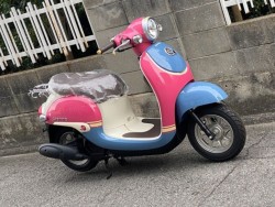 �z���_�W�����m�i���Q�����R�s�j�摜3