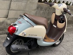 �z���_�W�����m�i���Q�����R�s�j�摜8