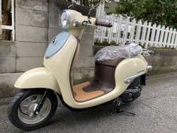 �z���_�W�����m�i���Q�����R�s�j�摜12