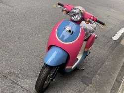 �z���_�W�����m�i���Q�����R�s�j�摜5