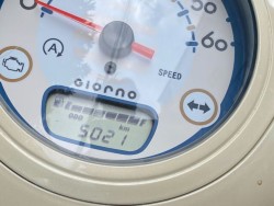 �z���_�W�����m�i���Q�����R�s�j�摜10