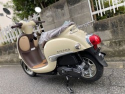 �z���_�W�����m�i���Q�����R�s�j�摜13