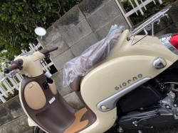 �z���_�W�����m�i���Q�����R�s�j�摜15