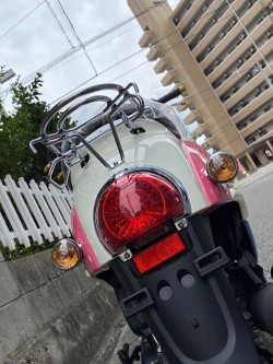 �z���_�W�����m�i���Q�����R�s�j�摜9