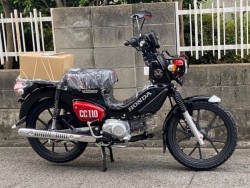 �z���_�N���X�J�u110�i���Q�����R�s�j�摜2