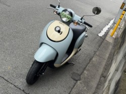�z���_�W�����m�i���Q�����R�s�j�摜5