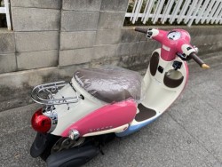 �z���_�W�����m�i���Q�����R�s�j�摜11