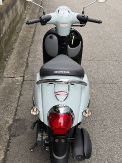 �z���_�W�����m�i���Q�����R�s�j�摜7