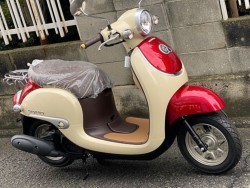 �z���_�W�����m�i���Q�����R�s�j�摜3