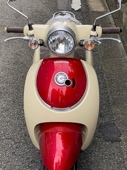 �z���_�W�����m�i���Q�����R�s�j�摜4