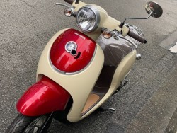 �z���_�W�����m�i���Q�����R�s�j�摜5