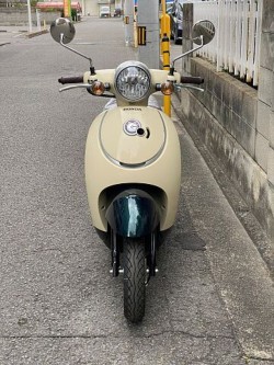 �z���_�W�����m�i���Q�����R�s�j�摜4