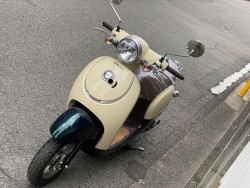 �z���_�W�����m�i���Q�����R�s�j�摜5