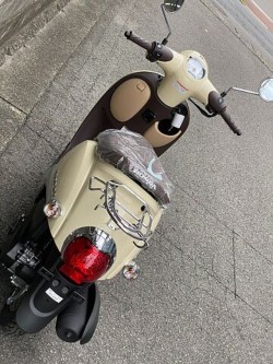 �z���_�W�����m�i���Q�����R�s�j�摜6