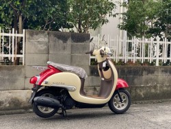 �z���_�W�����m�i���Q�����R�s�j�摜10