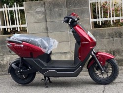 �z���_ICON e:�i���Q�����R�s�j�摜2