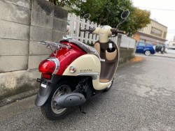 �z���_�W�����m�i���Q�����R�s�j�摜11