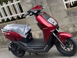 �z���_ICON e:�i���Q�����R�s�j�摜3