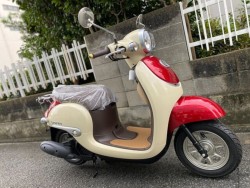 �z���_�W�����m�i���Q�����R�s�j�摜12