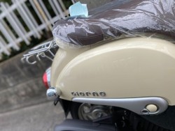 �z���_�W�����m�i���Q�����R�s�j�摜12