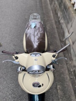 �z���_�W�����m�i���Q�����R�s�j�摜13