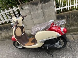 �z���_�W�����m�i���Q�����R�s�j�摜17