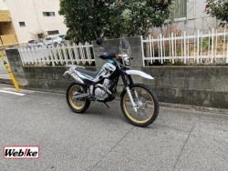 }nZ[250iQRsj摜12