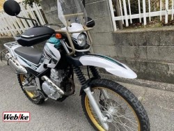 }nZ[250iQRsj摜22